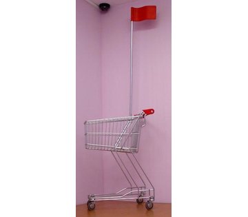 Dětský nákupní vozík SAM 