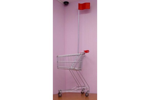 Dětský nákupní vozík SAM 