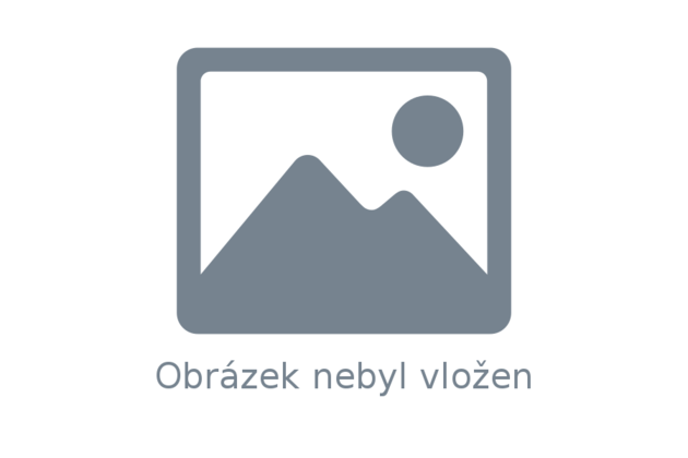 Gastronádoba se sklápěcími úchyty GN 1/3 100 Gastronádoba se sklápěcími úchyty GN 1/3 100